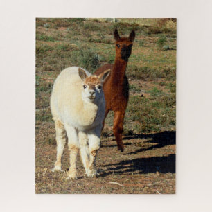 Puzzle Alpacas Joven Blanco Y Marrón,