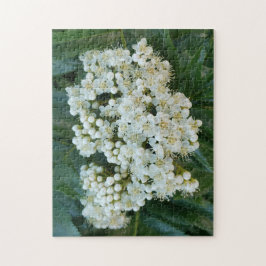 Puzzle Alpine Pearl Blossoms Puzzle, 11" x 14", 252 pcs
