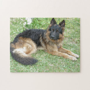 Puzzle Alsatian del negro y del moreno