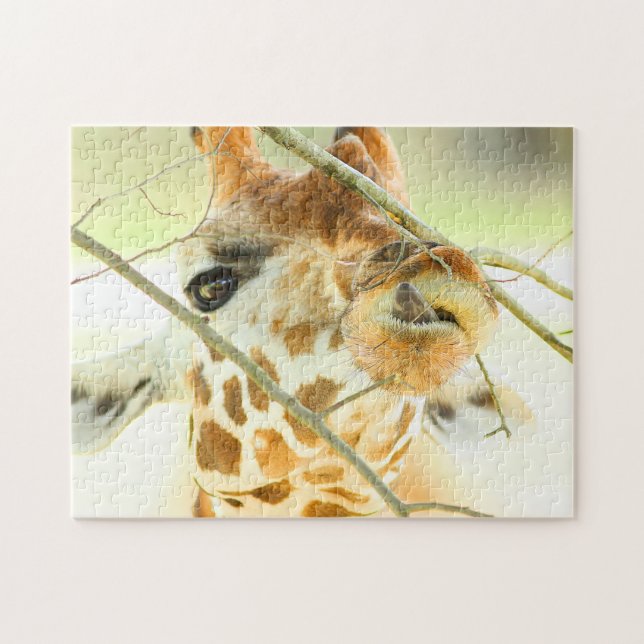 Puzzle ALTA ESPERANZA 11x14 PULGADAS (Horizontal)