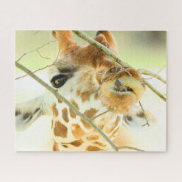 Puzzle ALTA ESPERANZA 16x20 PULGADAS