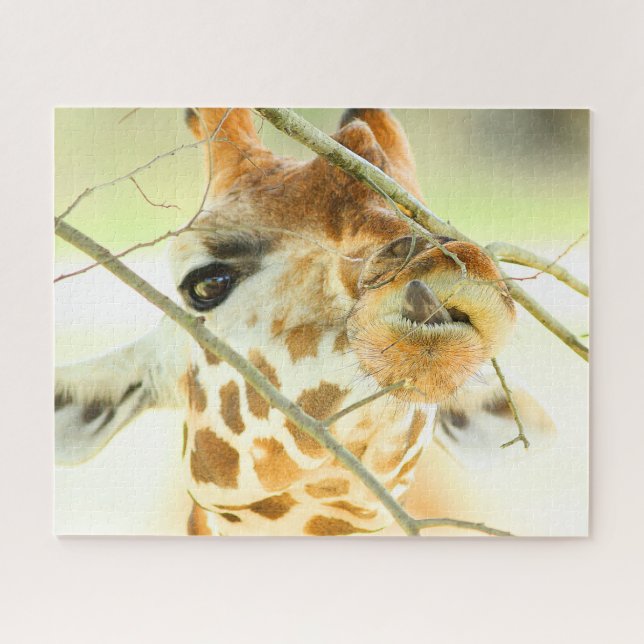 Puzzle ALTA ESPERANZA 16x20 PULGADAS (Horizontal)