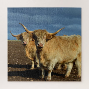 Puzzle Altiplano dorado: La gracia de las vacas de color