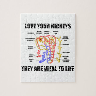 Puzzle Ama Tus Riñones Son Vitales Para La Vida (Nephron)