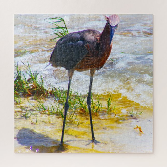 Puzzle Amamos a Sanibel en Florida (Vertical)