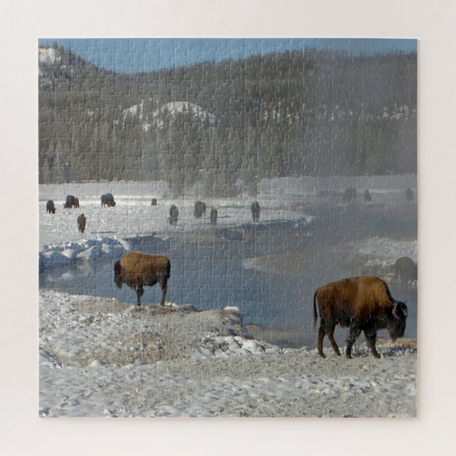 Puzzle Amamos Bison Wyoming. (Vertical)