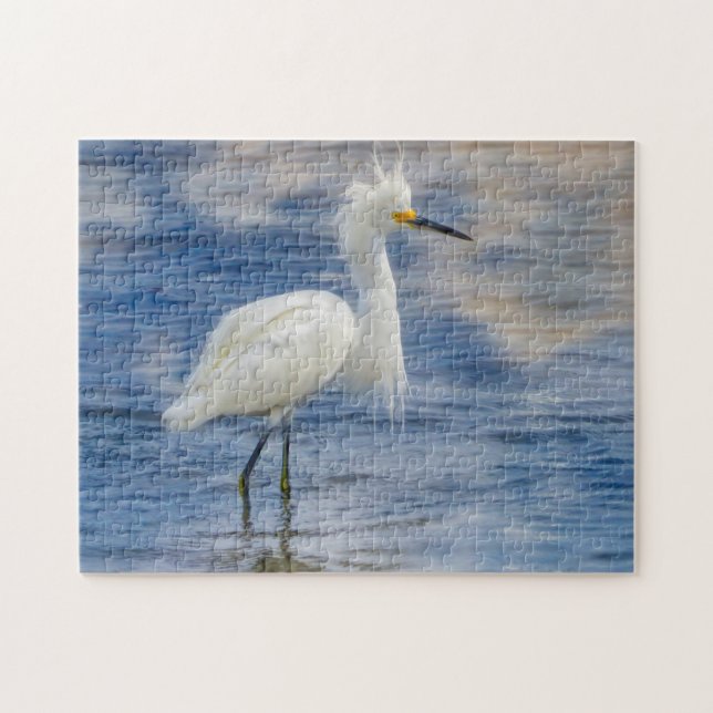 Puzzle Amamos las garcetas blancas en Florida (Horizontal)