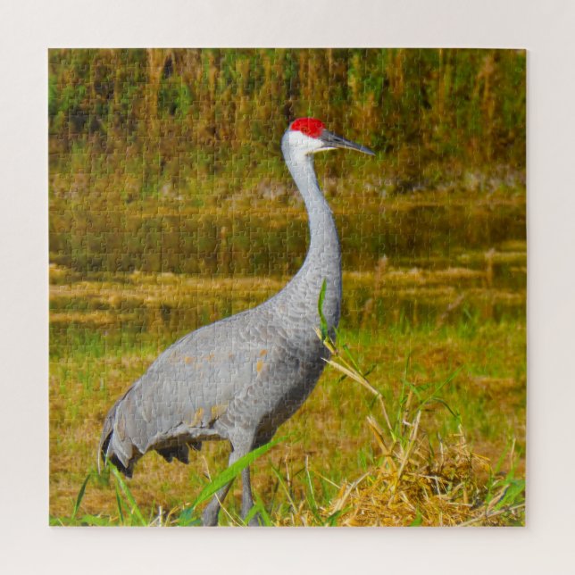 Puzzle Amamos las grullas de Sandhill en Florida (Vertical)