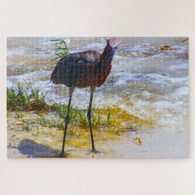 Puzzle Amamos Sanibel's en Florida (Horizontal)