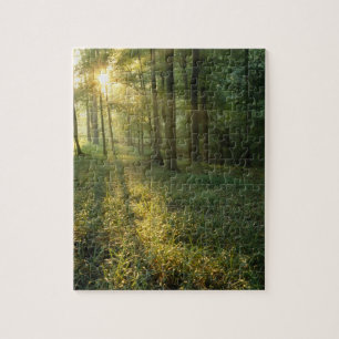 Puzzle Amanecer a través del bosque de robles y hickory,