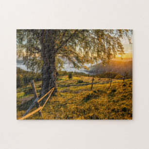 Puzzle Amanecer brumoso en un bosque
