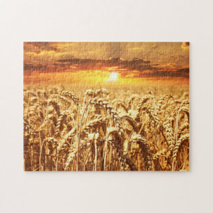 Puzzle Amanecer de campo de trigo