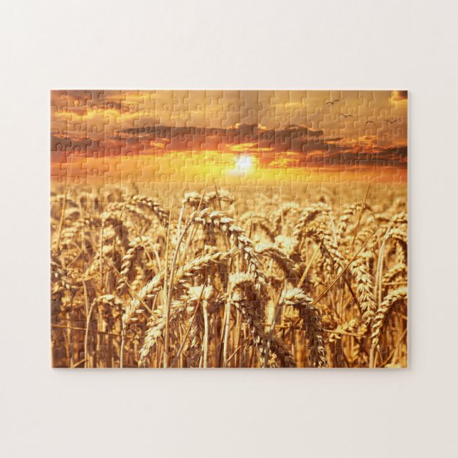 Puzzle Amanecer de campo de trigo (Horizontal)