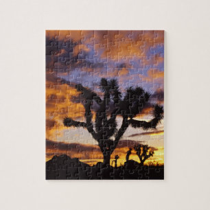 Puzzle Amanecer Espectacular en el Parque Nacional Joshua