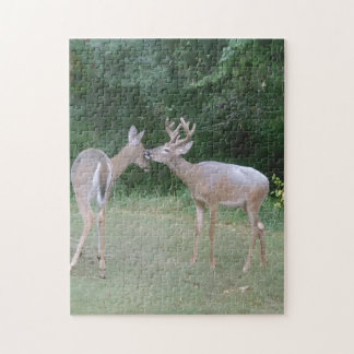 Puzzle Amante de la naturaleza