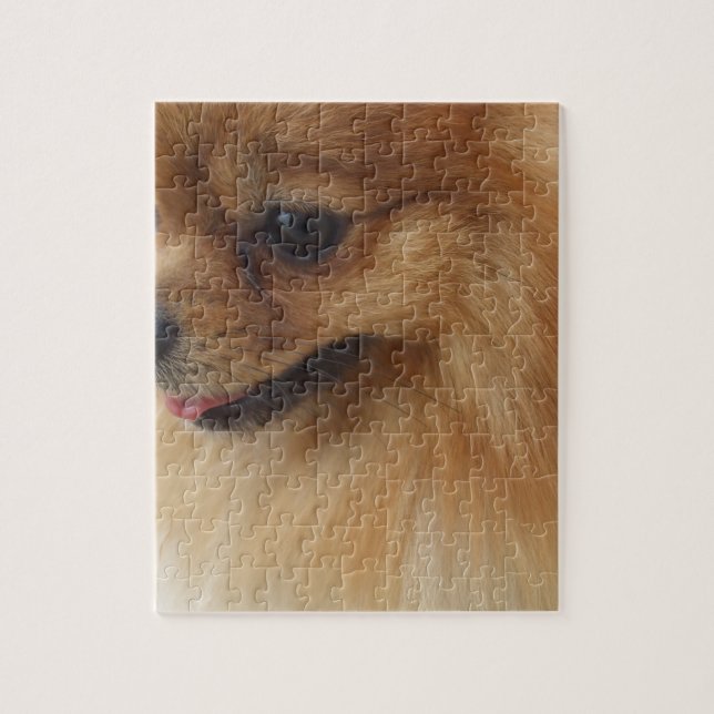 Puzzle Amante de Pomeranian (Vertical)