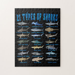 Puzzle Amantes Del Tiburón 21 Tipos De Animales Oceánic