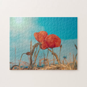 Puzzle Amapola