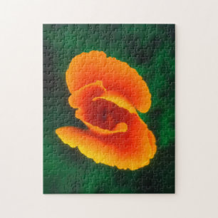 Puzzle Amapola de California