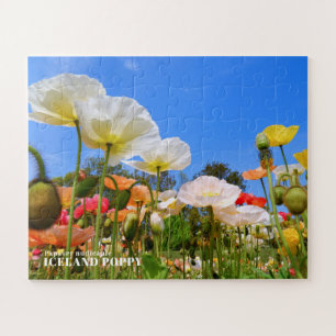 Puzzle Amapola de Islandia