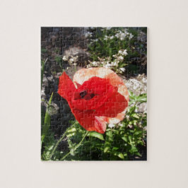 Puzzle Amapola roja