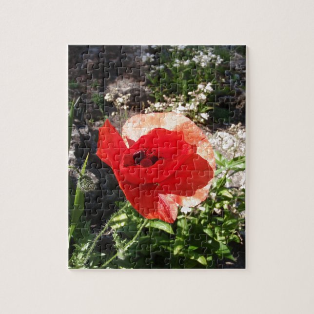 Puzzle Amapola roja (Vertical)