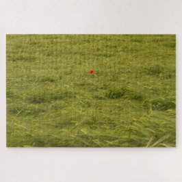 Puzzle Amapola solitaria en campo verde - Muy difícil