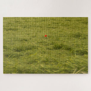 Puzzle Amapola solitaria en campo verde - Muy difícil