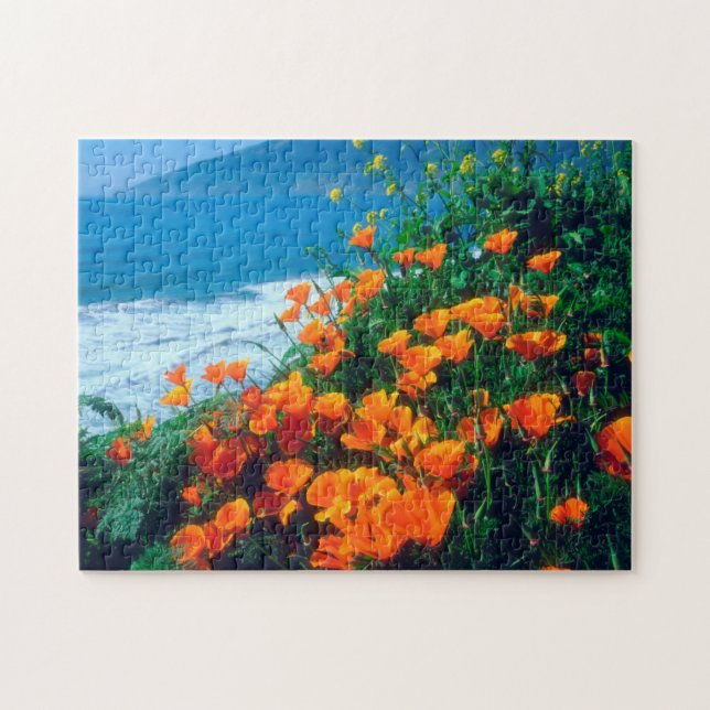 Puzzle Amapolas a lo largo de la Costa Pacífica cerca de  (Horizontal)