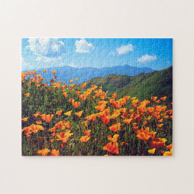 Puzzle Amapolas de California cubriendo una ladera (Horizontal)