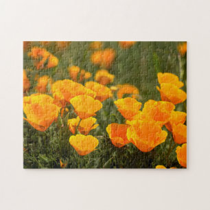 Puzzle Amapolas de California, Parque Estatal Montana de 