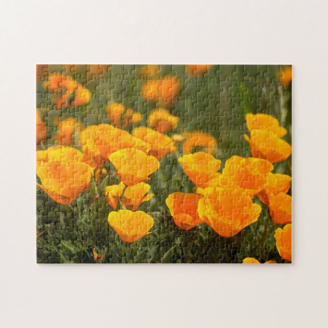 Puzzle Amapolas de California, Parque Estatal Montana de  (Horizontal)