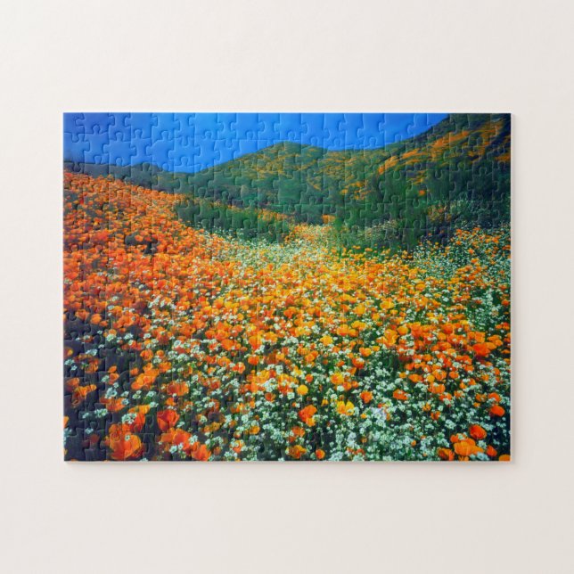 Puzzle Amapolas de California y flores silvestres de palo (Horizontal)