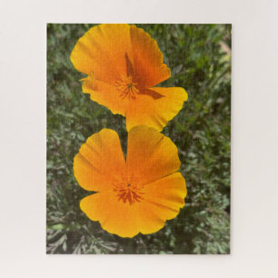 Puzzle Amapolas doradas de California en flor, Oakland