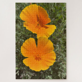 Puzzle Amapolas doradas de California en flor, Oakland