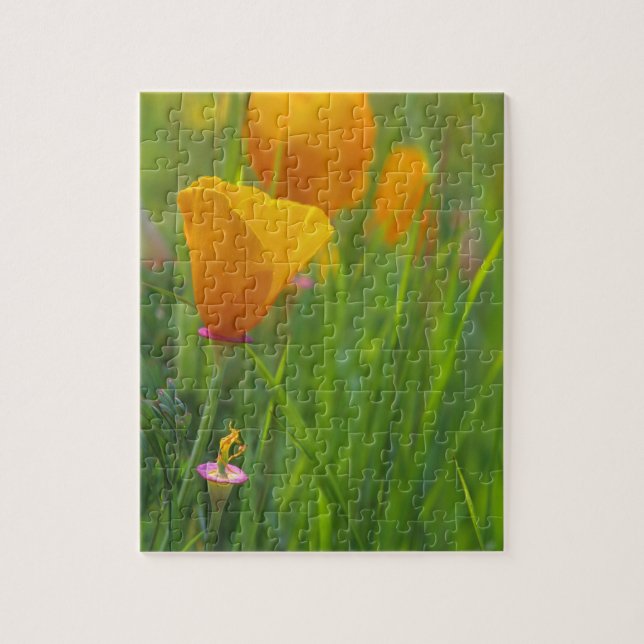 Puzzle amapolas doradas de California en un campo verde (Vertical)