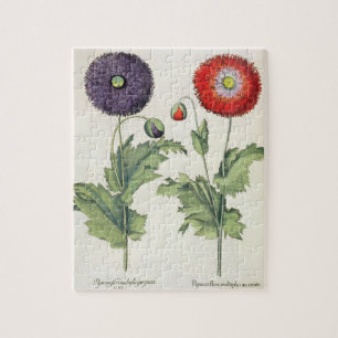Puzzle Amapolas: incarnato del multiplici del flore