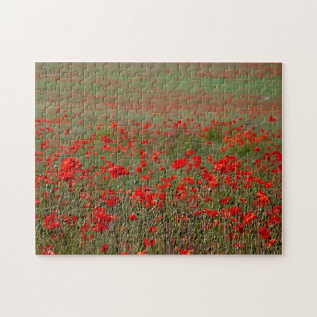 Puzzle Amapolas Rojas Desafiantes (Horizontal)