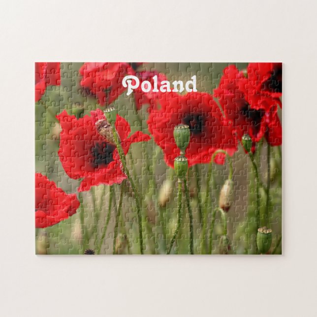Puzzle Amapolas rojas en Polonia (Horizontal)