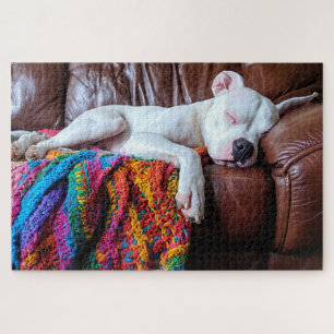 Puzzle Amar al perro de Pitbull durmiendo en el sofá