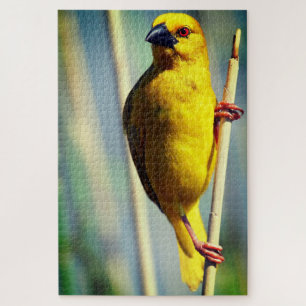 Puzzle Amarillo patito