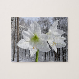 Puzzle Amaryllis blanca y nieve I
