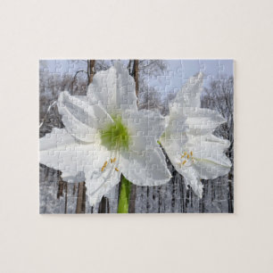 Puzzle Amaryllis Blanca y Nieve II