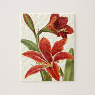 Puzzle Amaryllis del vintage