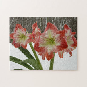 Puzzle Amaryllis en floral de invierno en la nieve roja f