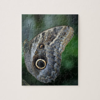 Puzzle Amazing Caligo Eurilochus Butterfly