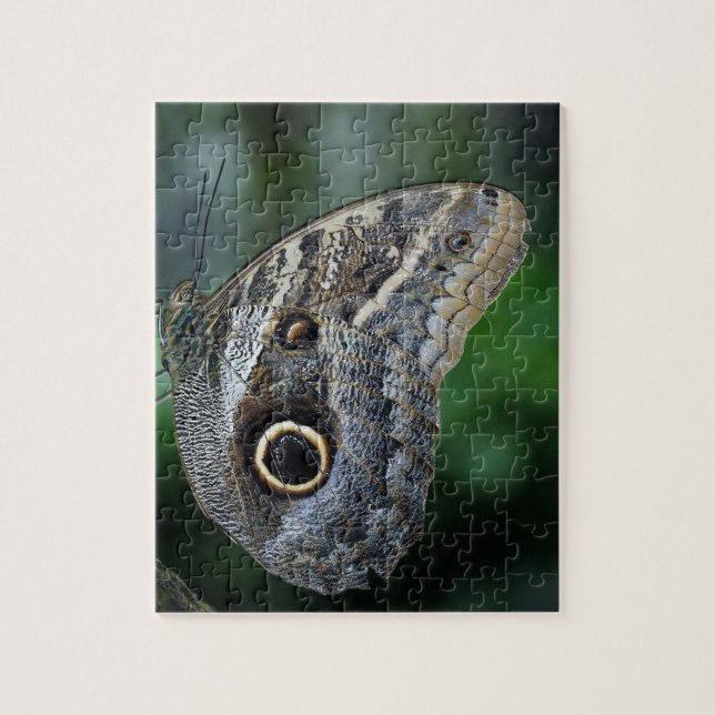 Puzzle Amazing Caligo Eurilochus Butterfly (Vertical)