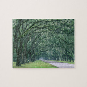 Puzzle América del Norte, Estados Unidos, Georgia, Savan