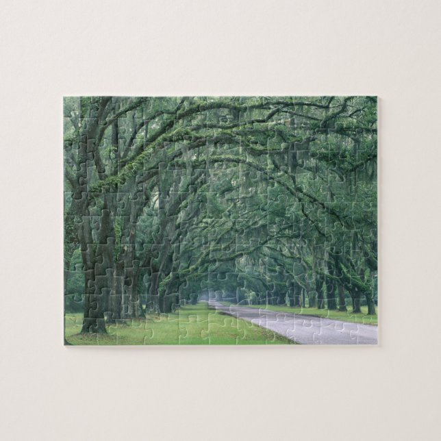 Puzzle América del Norte, Estados Unidos, Georgia, Savann (Horizontal)