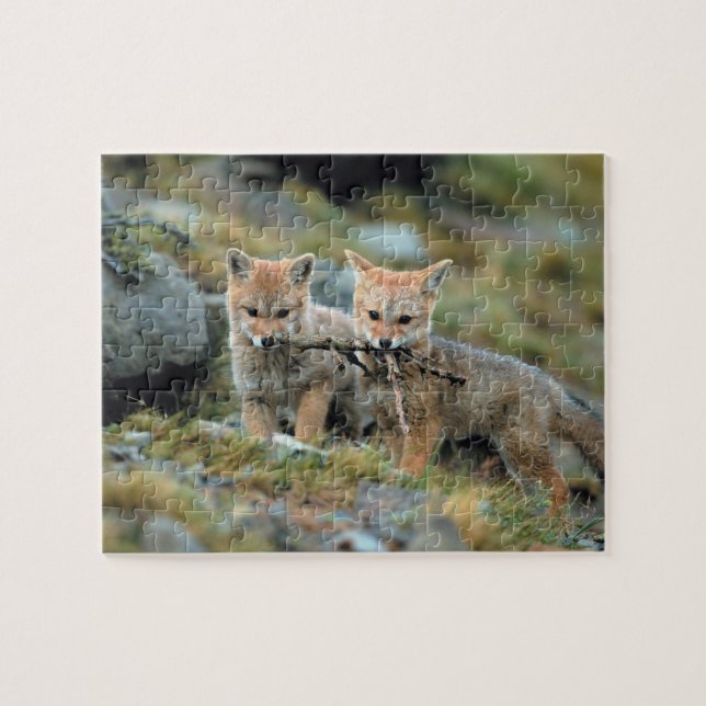 Puzzle América del Sur, Chile, Nacional Torres del Paine (Horizontal)